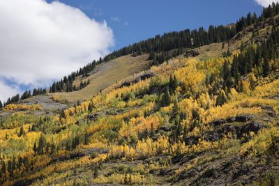 6P5A7777 Million Dollar Highway view.jpg