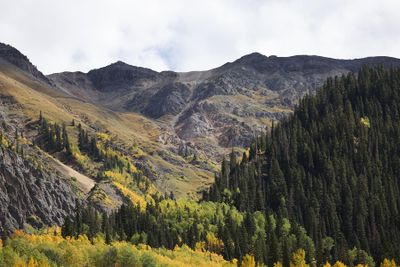 6P5A7785 Million Dollar Highway.jpg