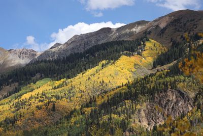 6P5A7826 Million Dollar Highway hillside.jpg