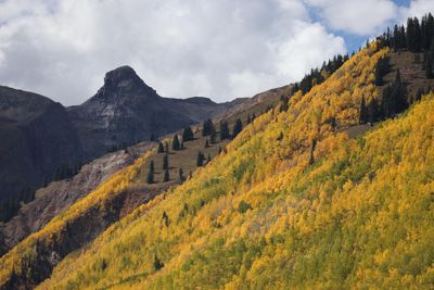 6P5A7832 Million Dollar Highway view.jpg