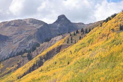 6P5A7843 Million Dollar Highway.jpg