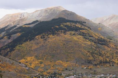 6P5A7967 Silverton hillside.jpg