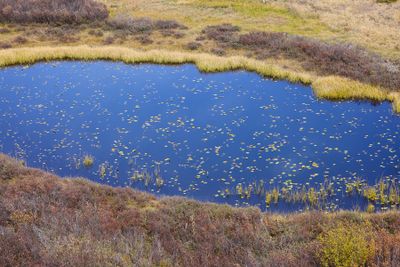 6P5A7980 Pond near Molas Pass.jpg