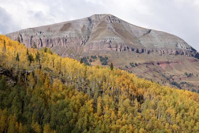 6P5A7999 Million Dollar Highway view.jpg