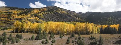 Million Dollar Highway Panorama.jpg