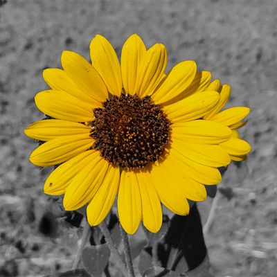 20220928_103825 Altus color.jpg