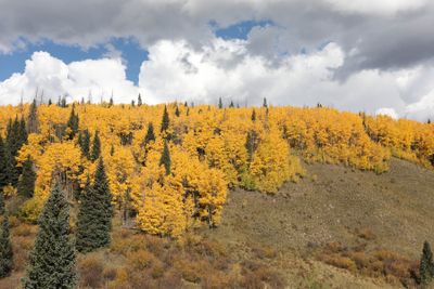 0T5A0840 Hillside near Chama NM.jpg