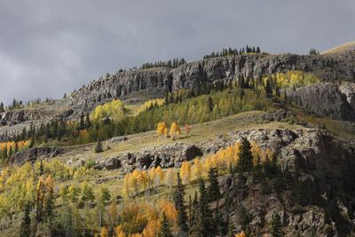 6P5A1068 Million Dollar Highway hillside.jpg
