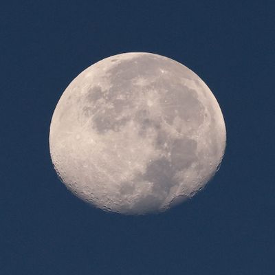 Moon pictures!