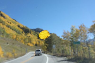 g13/32/486032/3/174973280.8f35d0a5.JPEG