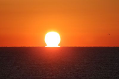 6P5A4897 Bright sun rising.jpg