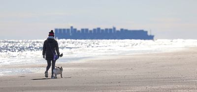 6P5A4944 Walking the dog at IOP.jpg