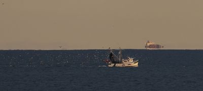 6P5A5164 Fishing vessel and freighter.jpg
