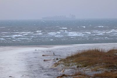6P5A5216 Leaving Charleston.jpg