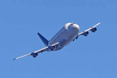 6P5A6065 Boeing Dreamlifter in Charleston.jpg