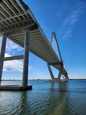 20250108_132059 Under the Ravenel bridge in Charleston.jpg