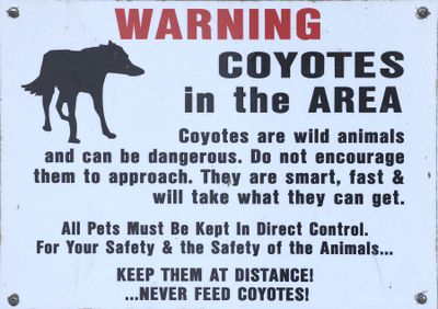6P5A7175 Coyote sign.jpg