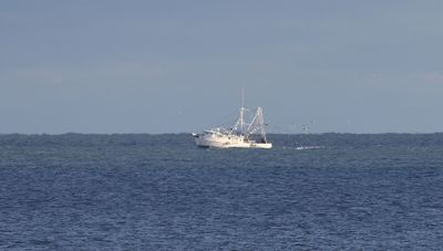 6P5A7324 Late afternoon trawling.jpg