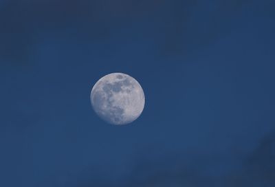 6P5A7390 Saturday late afternoon moon at IOP.jpg