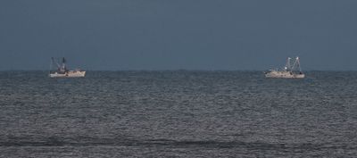 6P5A7450 Boats meeting off IOP.jpg