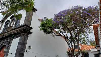 g13/32/539732/3/175489668.f66dde7e.JPEG