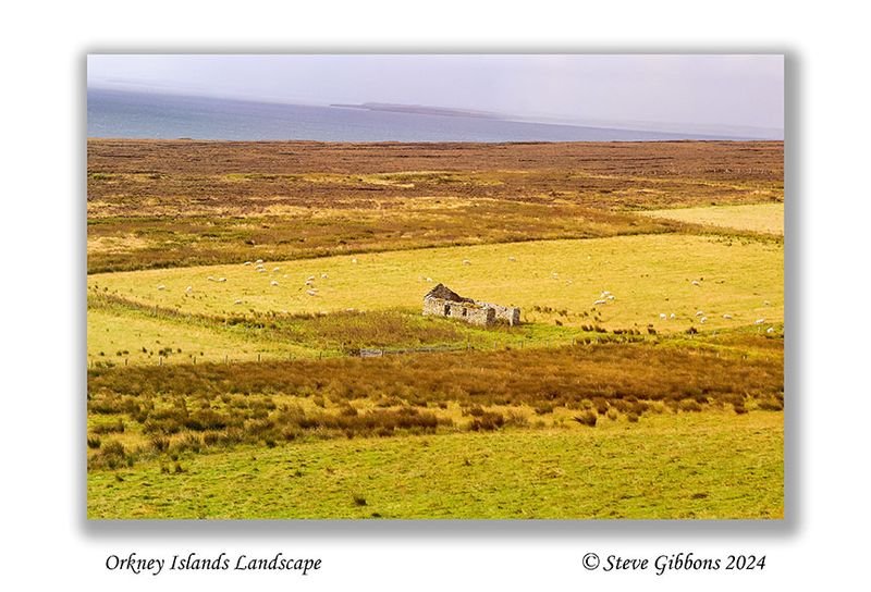 Orkney Islands Landscape