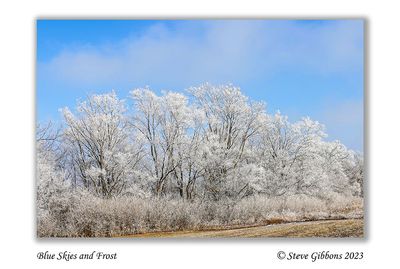 Blue Skies and Frost