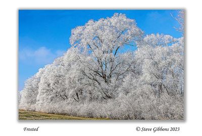 Frosted