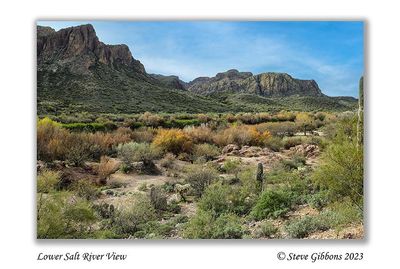 Lower Salt River View