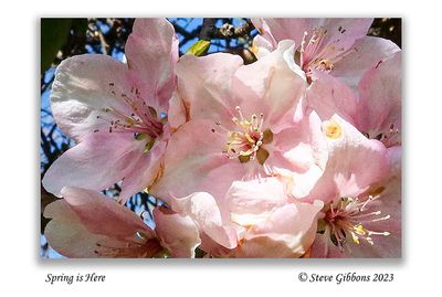 Spring is Here