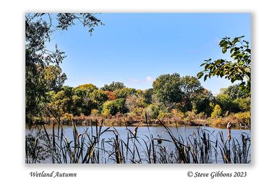Wetland Autumn