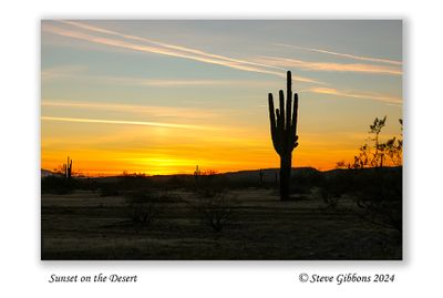 Sunset on the Desert