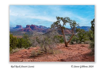 Red Rock Desert Scenic