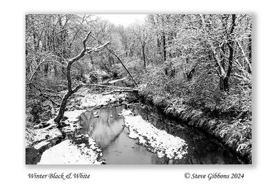 Winter Black & White