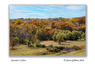 Autumn's Colors