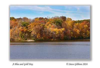 A Blue and Gold Day.jpg