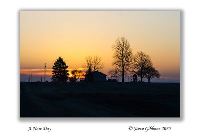 A New Day