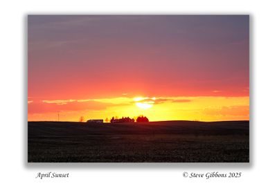 April Sunset