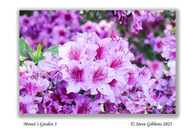 Monet's Garden