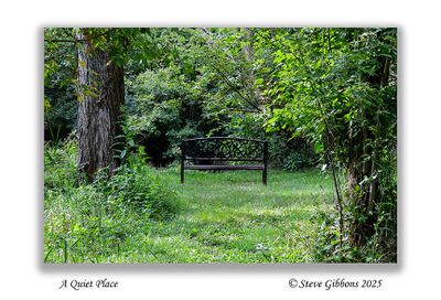 A Quiet Place