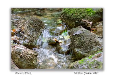 Duane's Creek