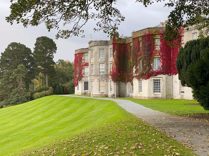 Plas Newwyd