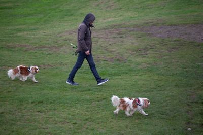 Cavaliers on Calton Hill