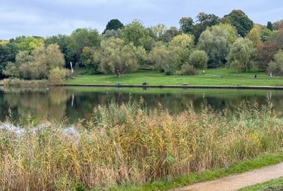 IMG_6917.jpg