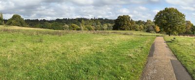 Hampstead Heath 2024