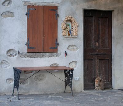 Farmhouse cat and her trinkets