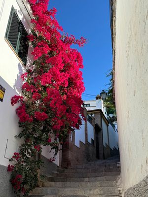 A splash of colour during an arduous climb