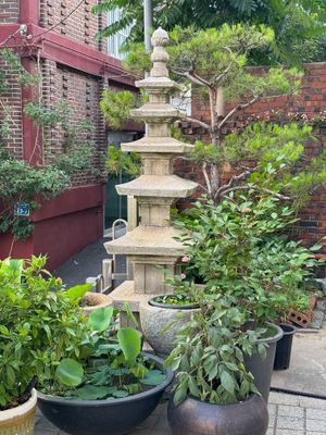 Compact garden near temple