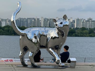 Evening by the Han River