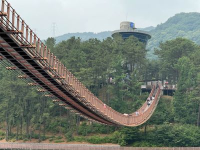 Touristy suspension bridge on way to DMZ